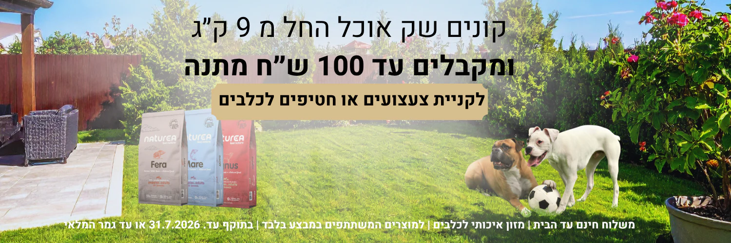ג'וי בוקס: סטייל ואיכות לחיות