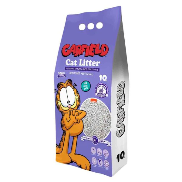 תמונה ממוזערת 1