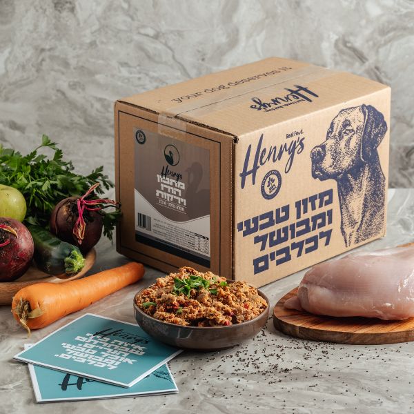 תמונה ממוזערת 1