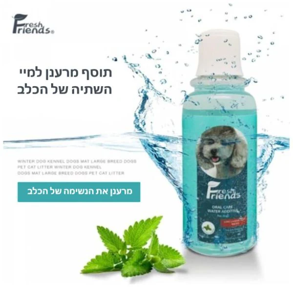 מי פה לכלבים וחתולים פרש פרנדס - Purry - Image 4