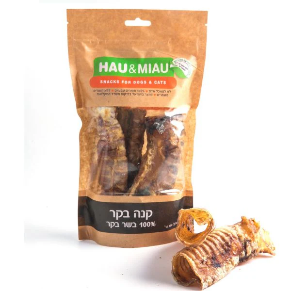 תמונה ממוזערת 1