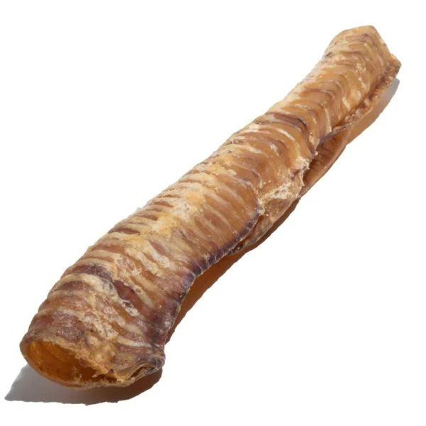 תמונה ממוזערת 1