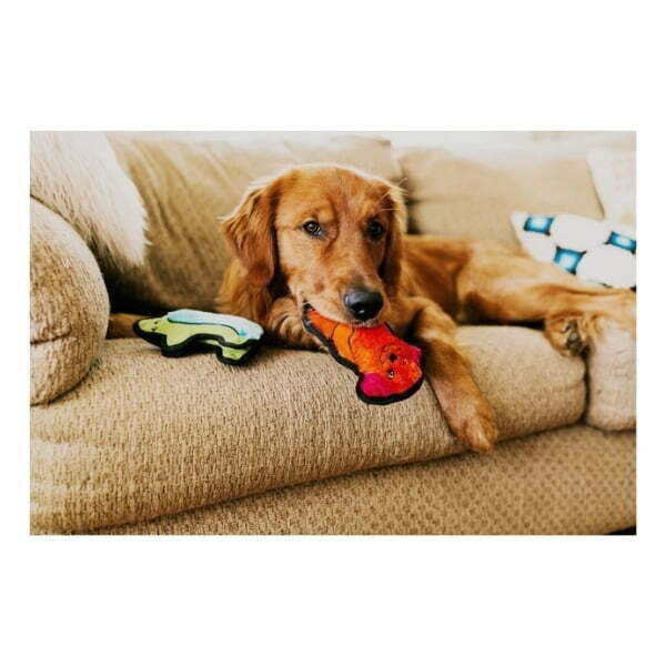 בובת כלב בלתי מנוצחת XS - Outward Hound - Image 2