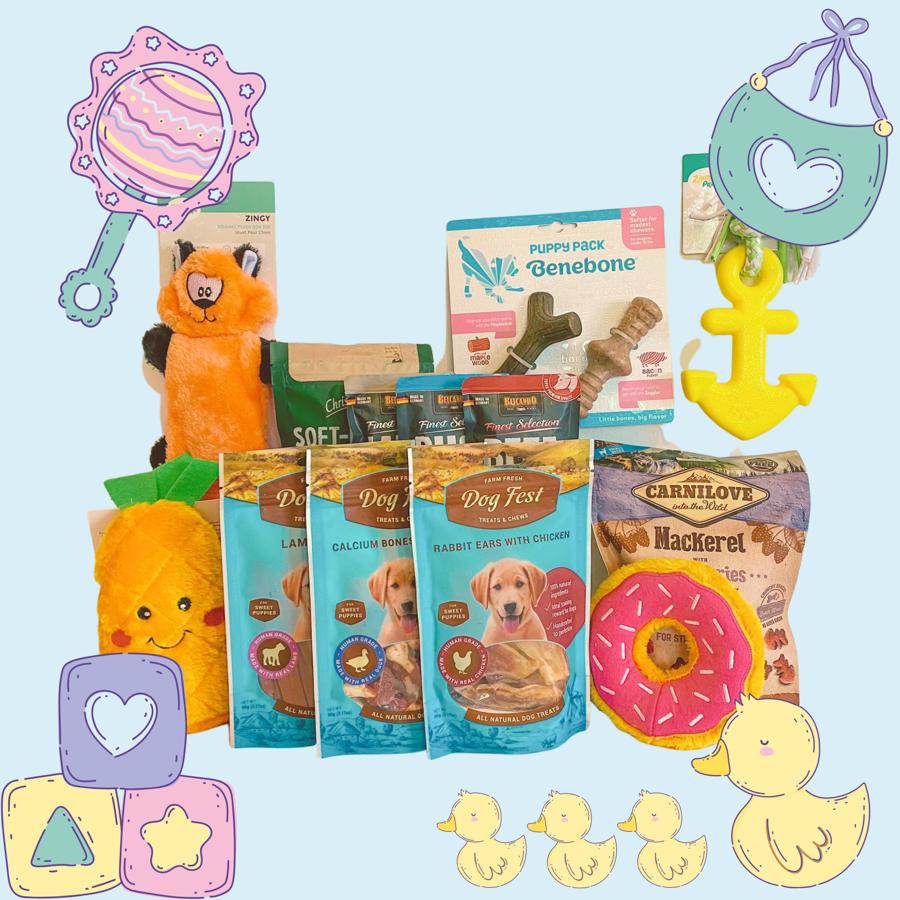 Super Small Puppy Kit- ערכת גורים משולב כלב קטן